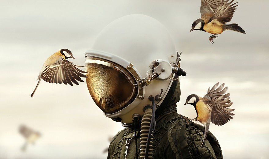 15 Best Photos From The World Photography Awards 2019