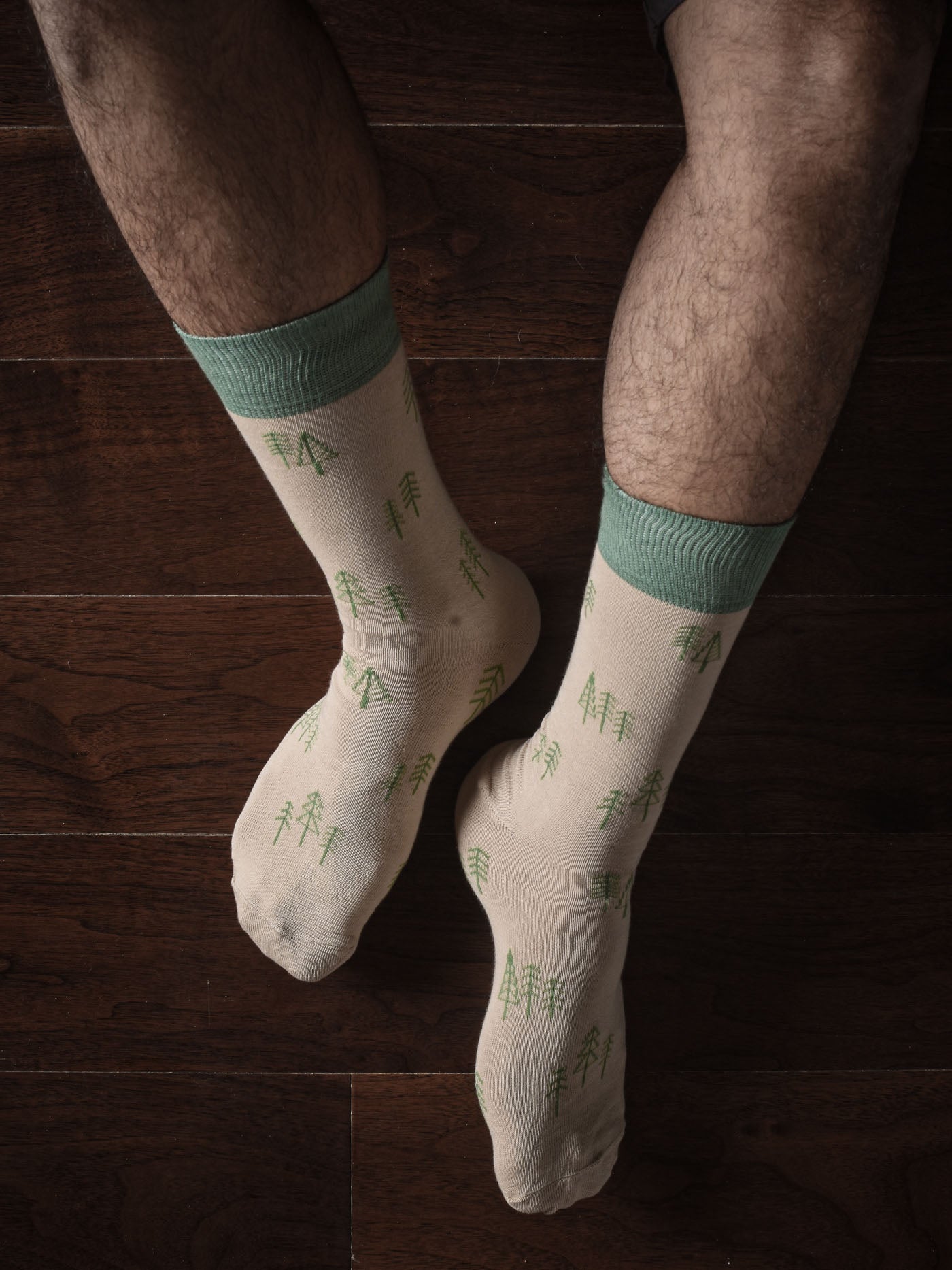SOX1009-C