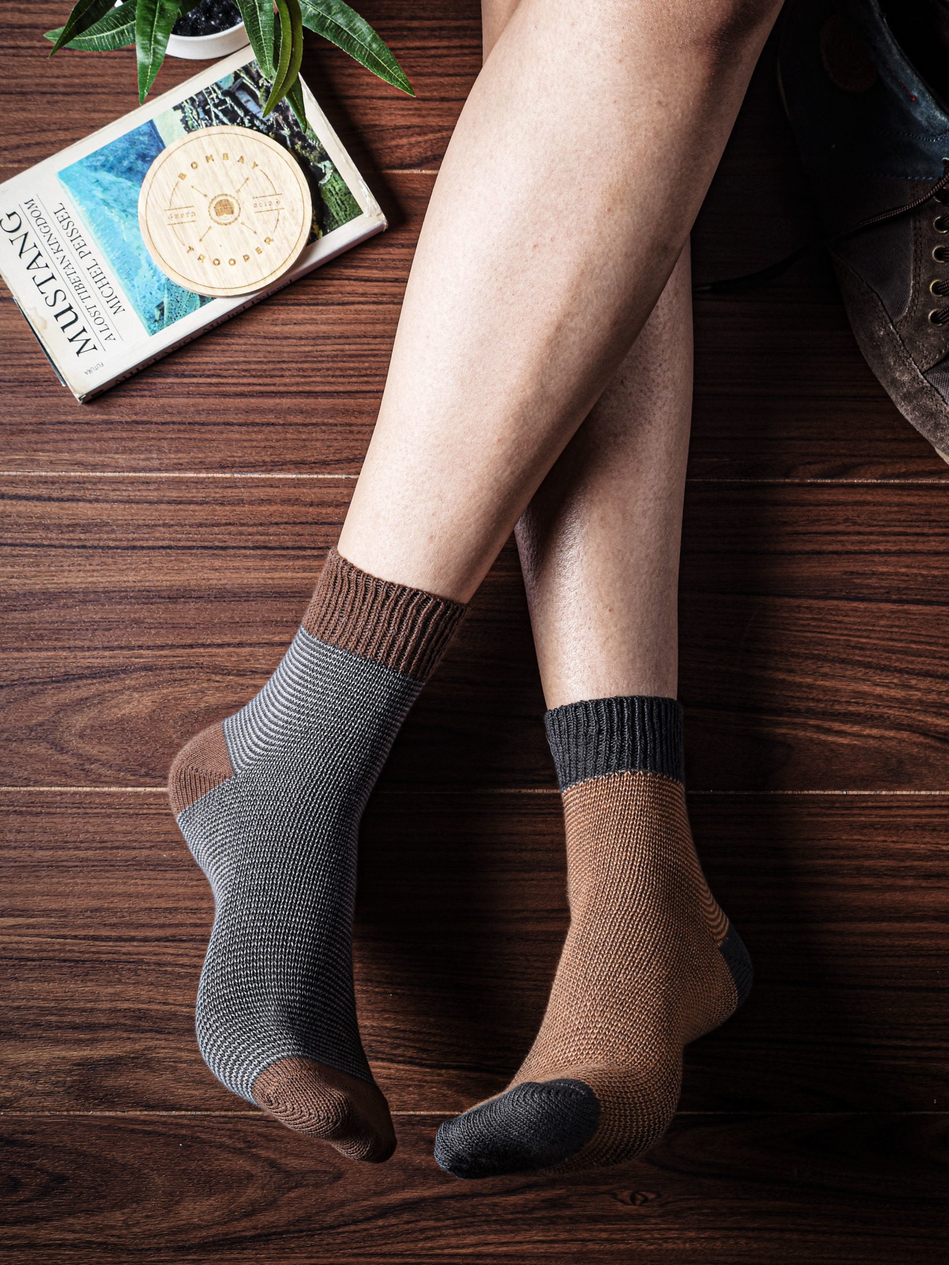 SOX1017-18-C