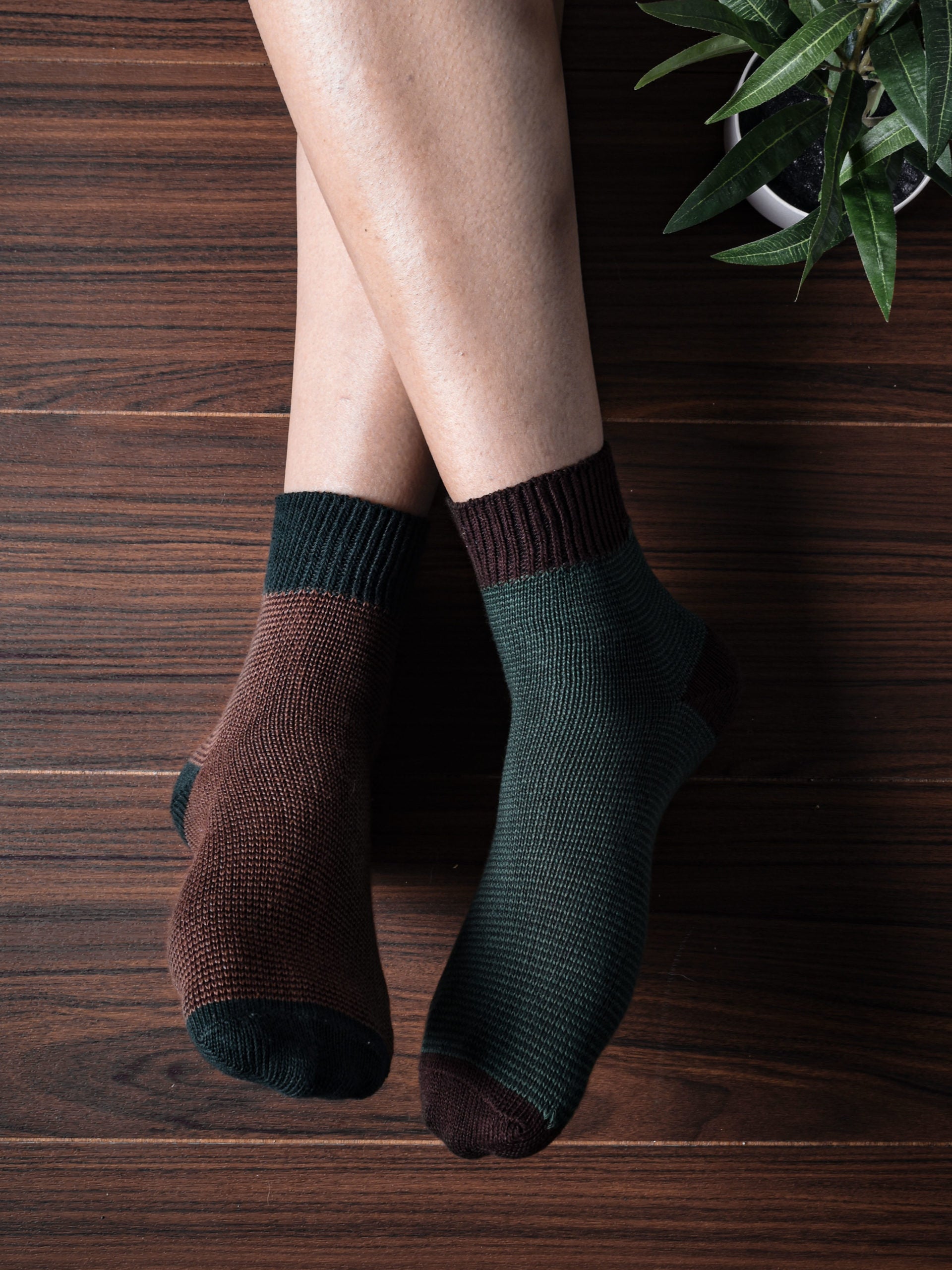 SOX1021-22-C