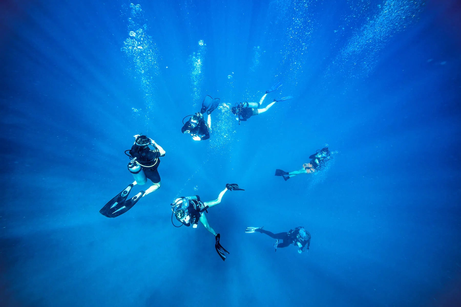 Diving Deeper into Sustainability: My Journey with Eco Diving in 2024