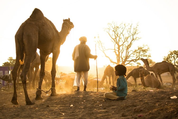 Golden City Jaisalmer